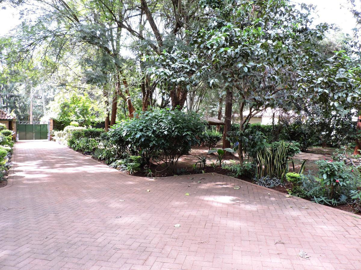 Hostel Milimani Backpackers Nairobi Exterior foto