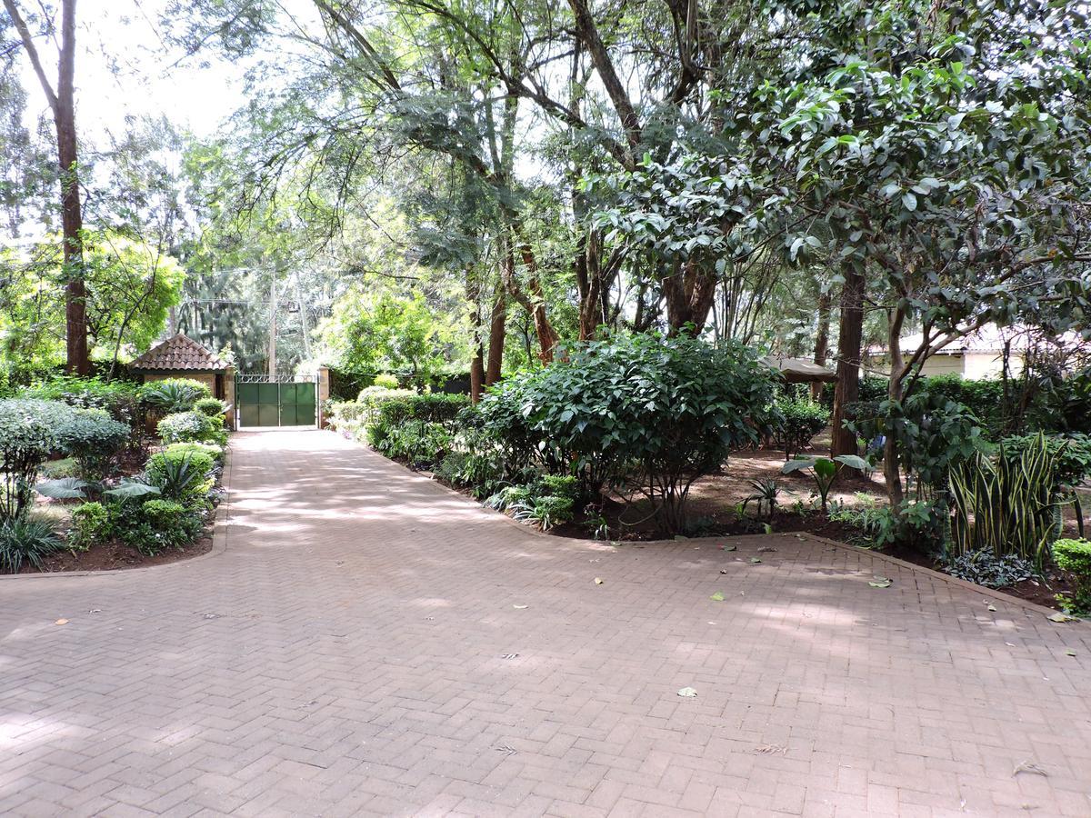Hostel Milimani Backpackers Nairobi Exterior foto